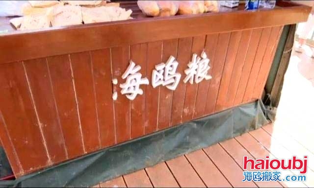 昆明海鸥搬家称一老板返乡探病，留下鸥粮供游客投喂结果出乎意料.jpg